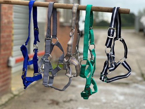 Horse headcollar halter mixed - headcollar,